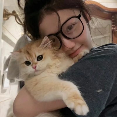 御猫三戏锦毛鼠